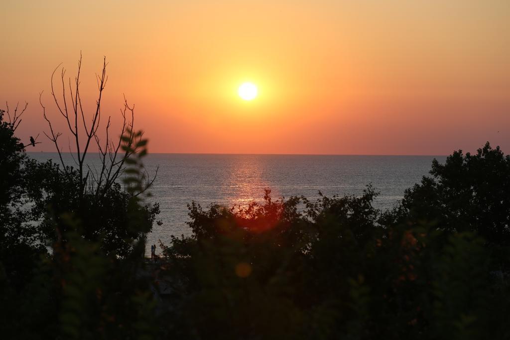 Evergreen Vlas Mamaia Sud 외부 사진